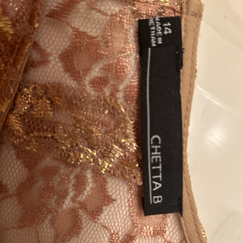 Chetta B Elegant Gold Lace Sleeveless Dress with Belt, Size 14 - Picture 7 of 9